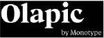 logo_olapic.png